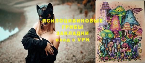 скорость Алзамай