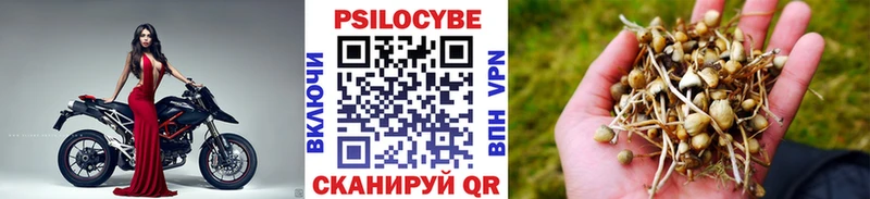Псилоцибиновые грибы мухоморы магазин Нерчинск