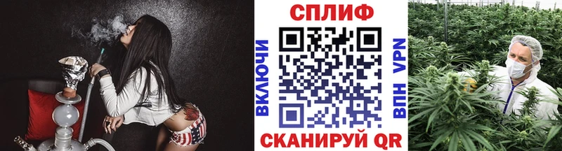 Бошки Шишки семена  где продают наркотики  Нерчинск 